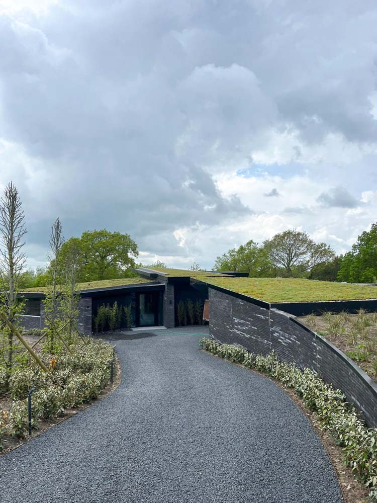 Green Roofs South East – extensive green roof system on modern eco home with sloped living roof and landscaped driveway