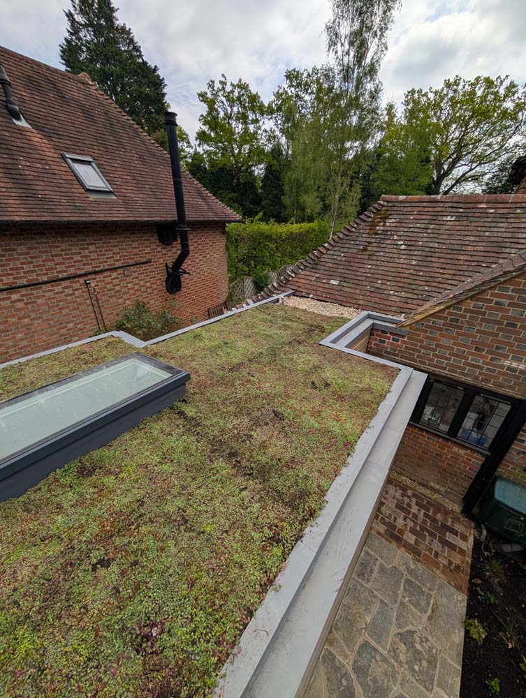 Green Roofs South East – sedum green roof on residential extension with rooflight and surrounding clay tile roofing