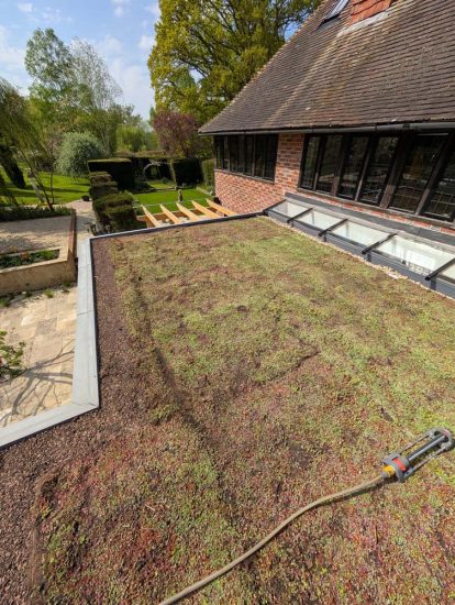 Green & Sedum Roofs