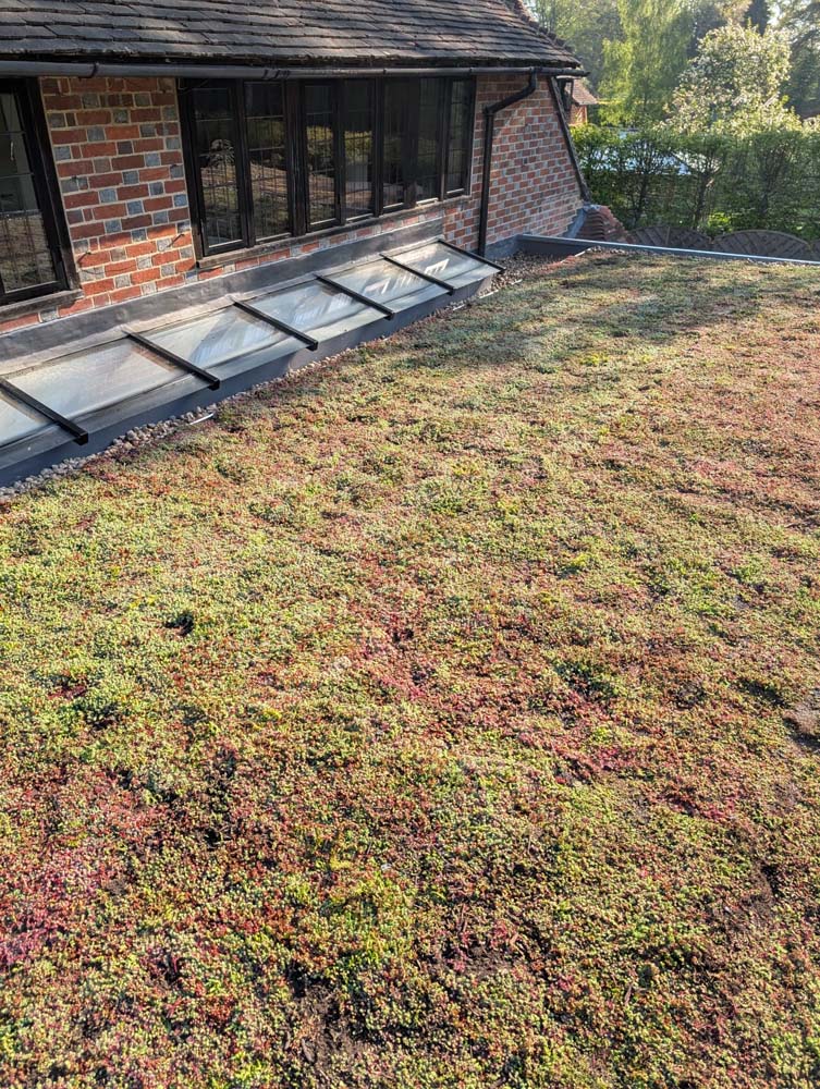 AJ Lucas Roofing residential project Sedum blanket over an IKO Armourplan single-ply-roof.