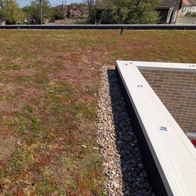 AJ Lucas Roofing Contractors South East & London- Sedum and Green Roofing Systems, New Romney Kent project.