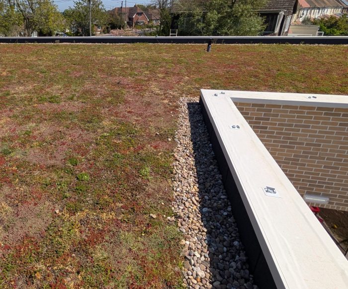 AJ Lucas Roofing Sedum and Green Roofing Systems, New Romney Kent project.