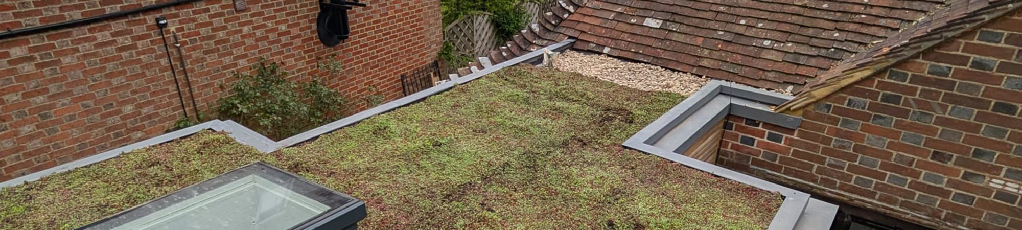 Green Roofs South East – sedum green roof installed on residential extension with skylight and clay tile surroundings