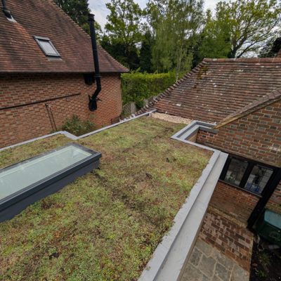 AJ Lucas Roofing services South East UK- Sedum green roof on a residential extension with roof light and clay tiled pitched roof in background.