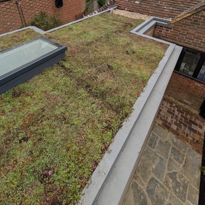 Green Roofs South East – sedum roof detail with skylight and stone pathway below