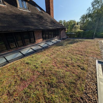 Green Roofs South East – mature sedum roof on countryside home with brick walls and natural landscaping