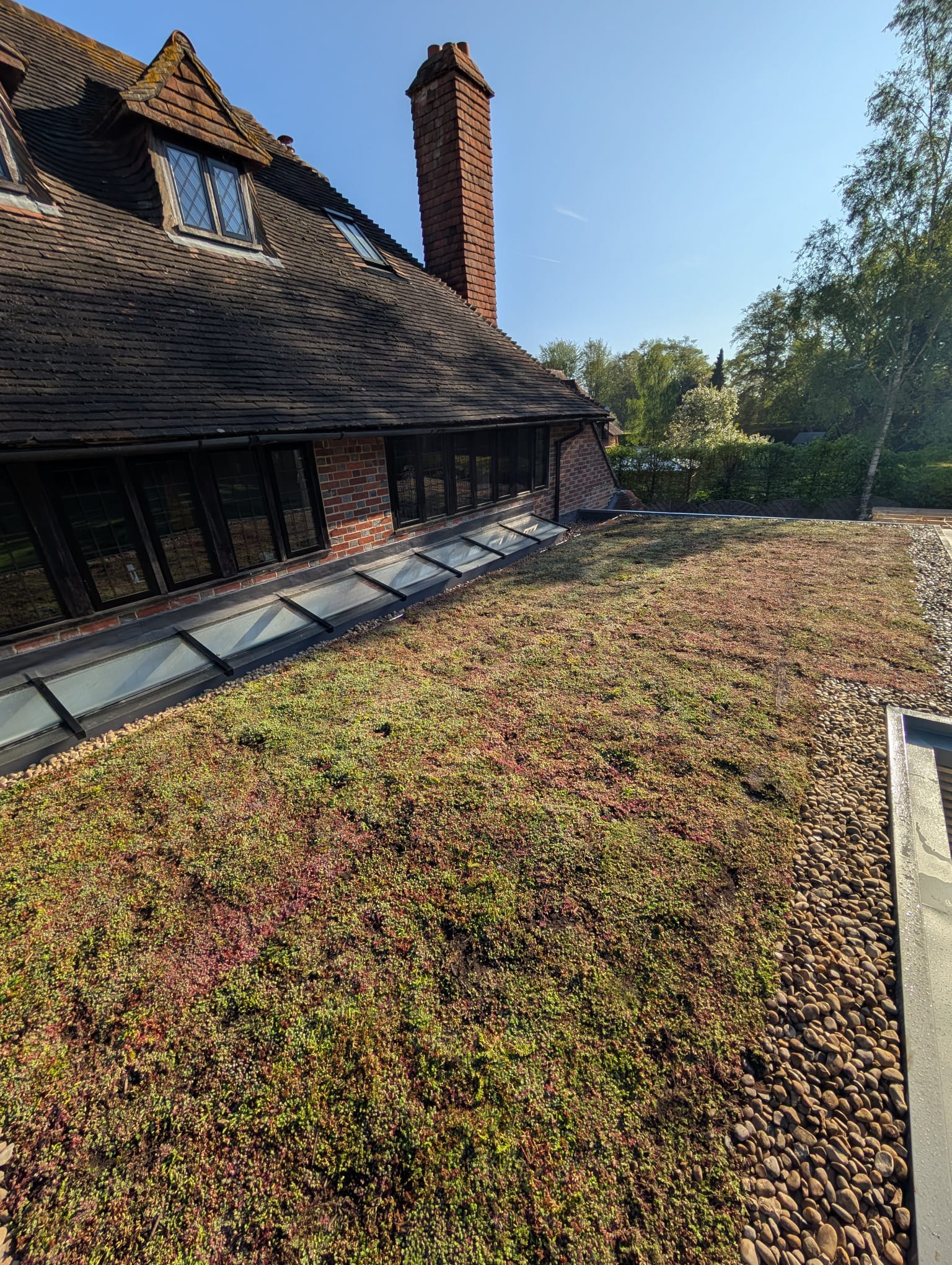 Green Roofs South East – mature sedum roof on countryside home with brick walls and natural landscaping