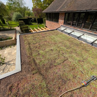 Green Roofs South East – garden view of green roof above large glazed extension with planters below