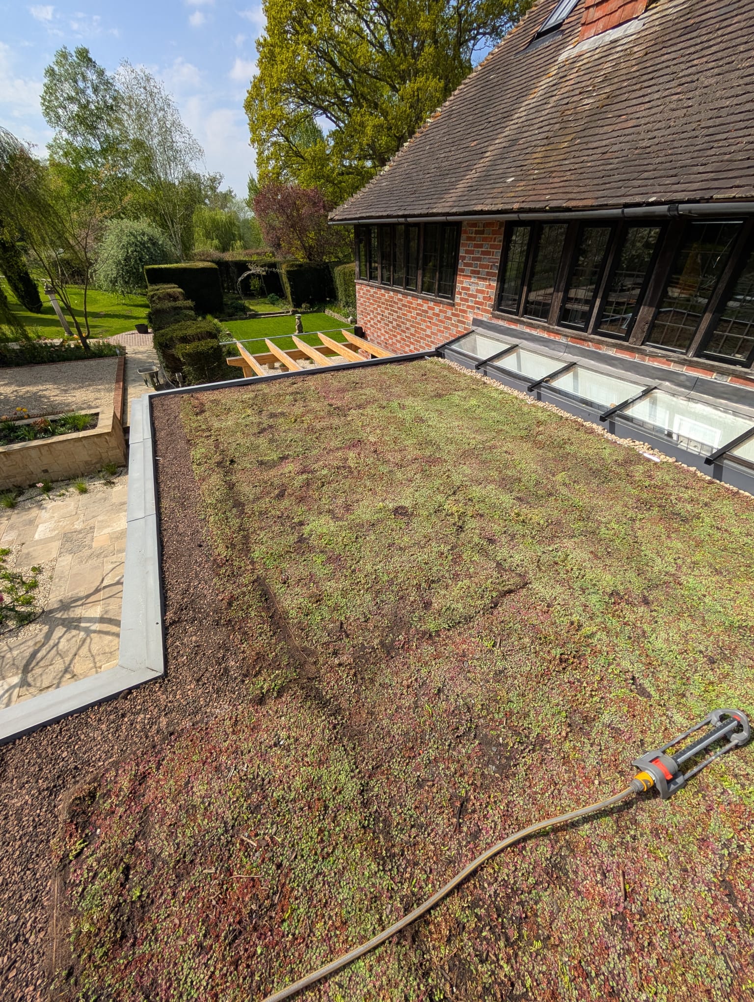 Green Roofs South East – garden view of green roof above large glazed extension with planters below