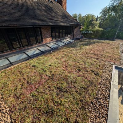 Green Roofs South East – detailed view of low-maintenance sedum roofing system over extension