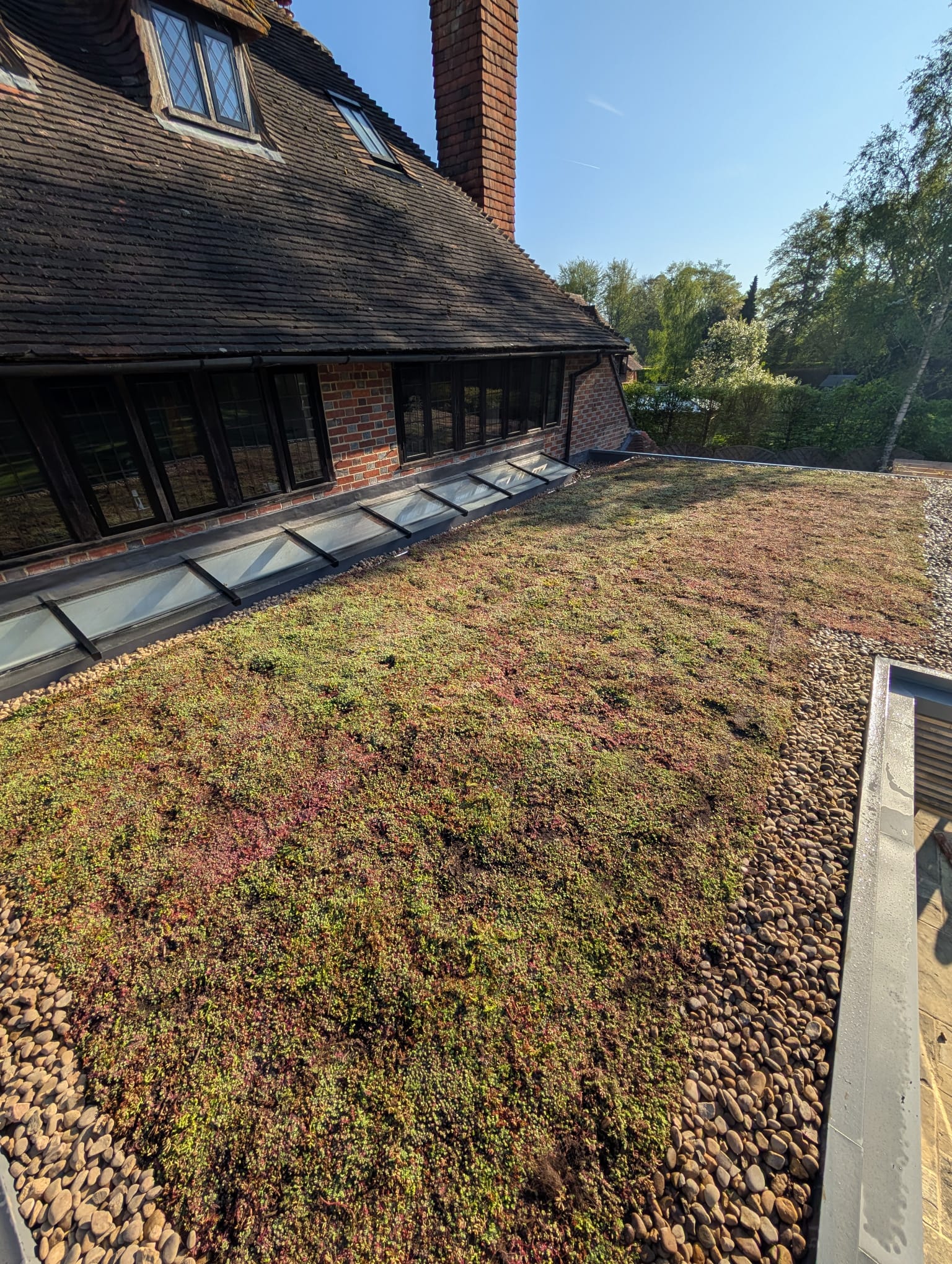 Green Roofs South East – detailed view of low-maintenance sedum roofing system over extension