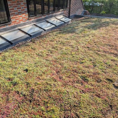 Green Roofs South East – close-up of mature green roof vegetation with gravel edge on rural property